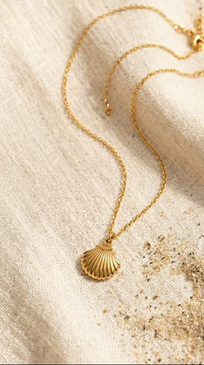 Snazzy Gilded Seashell Charm Necklace N5
