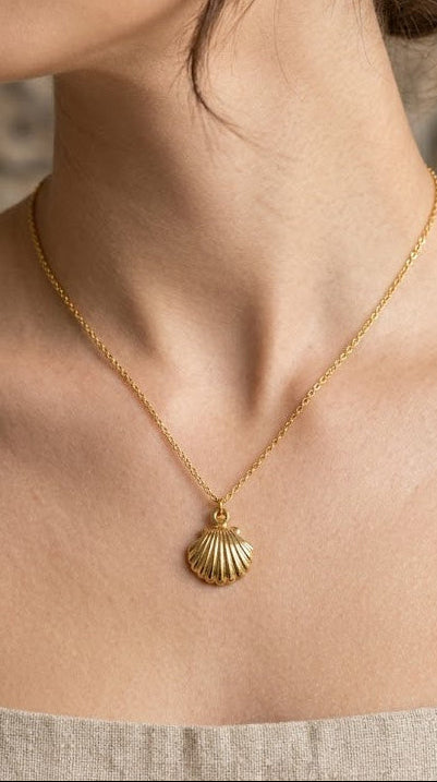 Snazzy Gilded Seashell Charm Necklace N5